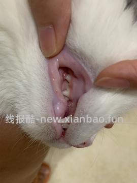 【科普】牙科问题和普通内科问题都可以留言，看到会回复 - 线报酷