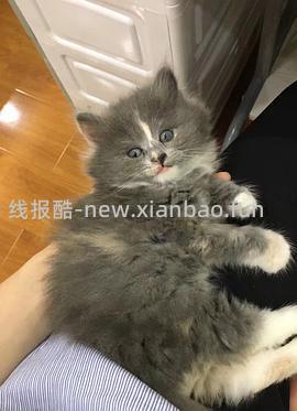 【科普】牙科问题和普通内科问题都可以留言，看到会回复 - 线报酷