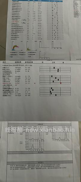 【科普】牙科问题和普通内科问题都可以留言，看到会回复 - 线报酷