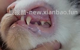 【科普】牙科问题和普通内科问题都可以留言，看到会回复 - 线报酷