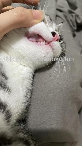 【科普】牙科问题和普通内科问题都可以留言，看到会回复 - 线报酷