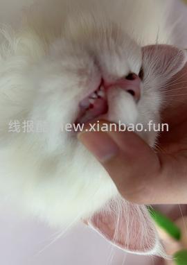 【科普】牙科问题和普通内科问题都可以留言，看到会回复 - 线报酷