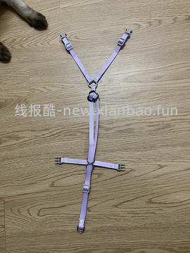 讨论/【教程】进阶版教程——如何将不到10块钱的牵引绳改造成100+的科学牵引绳 - 线报酷