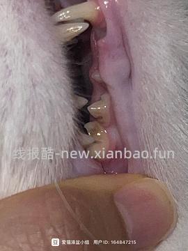 【科普】牙科问题和普通内科问题都可以留言，看到会回复 - 线报酷