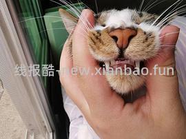 【科普】牙科问题和普通内科问题都可以留言，看到会回复 - 线报酷