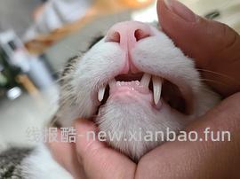 【科普】牙科问题和普通内科问题都可以留言，看到会回复 - 线报酷