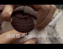 【科普】牙科问题和普通内科问题都可以留言，看到会回复 - 线报酷