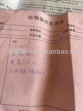 【科普】牙科问题和普通内科问题都可以留言，看到会回复 - 线报酷