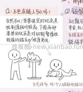 讨论/【科普】猫刷牙详细图文教程2.0 - 线报酷