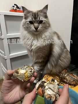 【科普】牙科问题和普通内科问题都可以留言，看到会回复 - 线报酷