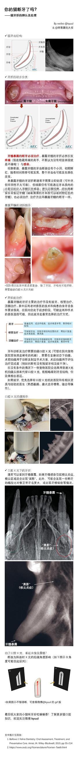 【科普】牙科问题和普通内科问题都可以留言，看到会回复 - 线报酷