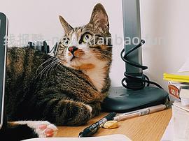 讨论/【科普】军训图及我的军训历程 - 线报酷