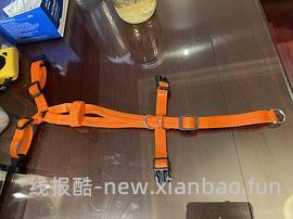 讨论/【教程】进阶版教程——如何将不到10块钱的牵引绳改造成100+的科学牵引绳 - 线报酷