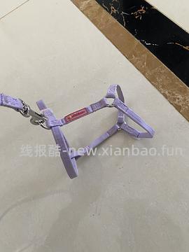 讨论/【教程】进阶版教程——如何将不到10块钱的牵引绳改造成100+的科学牵引绳 - 线报酷