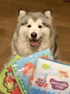 3元包邮的响纸bb叫玩具 - 线报酷