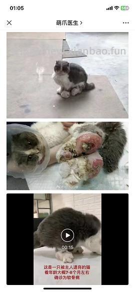 讨论/【科普】关于折耳的谣言粉碎机 - 线报酷