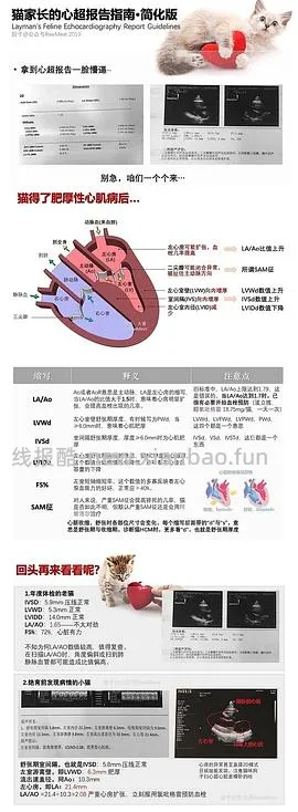 【科普】猫咪年度体检都检了些啥 - 线报酷