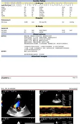 【科普】猫咪年度体检都检了些啥 - 线报酷