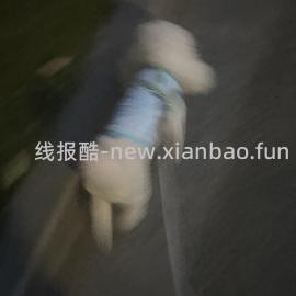 超便宜凉凉衣背心款，一款16到35r，一款45r - 线报酷