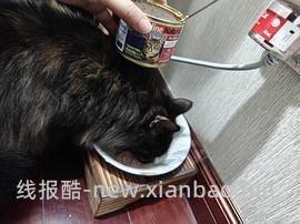 讨论/【科普】军训图及我的军训历程 - 线报酷