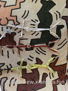 讨论/【教程】进阶版教程——如何将不到10块钱的牵引绳改造成100+的科学牵引绳 - 线报酷