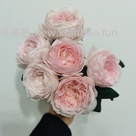 抠门园艺分享第四弹 - 线报酷