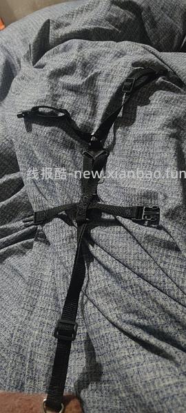 讨论/【教程】进阶版教程——如何将不到10块钱的牵引绳改造成100+的科学牵引绳 - 线报酷