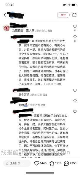 讨论/【科普】曾经宠物行业就业人员带大家看看真实后院猫的生存环境 - 线报酷