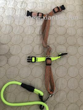 讨论/【教程】进阶版教程——如何将不到10块钱的牵引绳改造成100+的科学牵引绳 - 线报酷