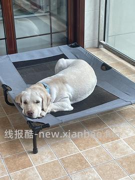 【车暂走】kh行军床中号好价54 - 线报酷