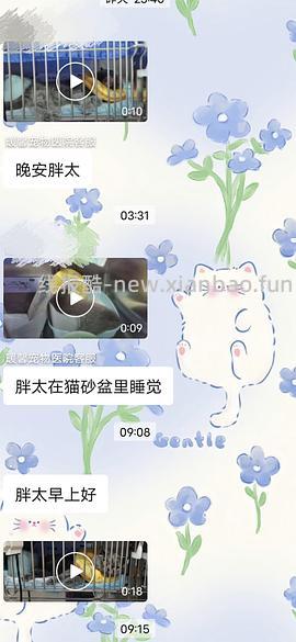 讨论/【科普】猫罕见胸腺瘤 - 线报酷