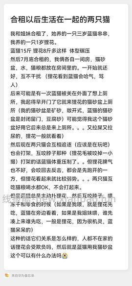 讨论/【科普】多猫家庭中几种不易察觉的冲突 - 线报酷