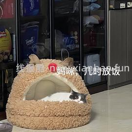 半价入Zeze巨可爱猫窝 - 线报酷