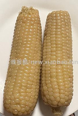 糯玉米4.4斤18元10根 - 线报酷