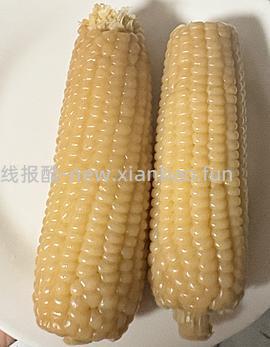 糯玉米4.4斤18元10根 - 线报酷