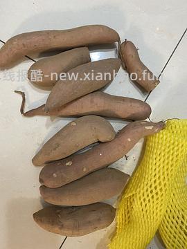糯玉米4.4斤18元10根 - 线报酷