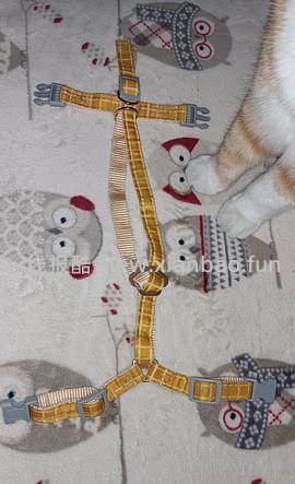 讨论/【教程】进阶版教程——如何将不到10块钱的牵引绳改造成100+的科学牵引绳 - 线报酷