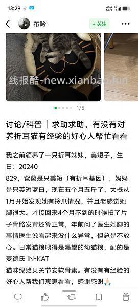 【科普】‼️‼️别问啦别问啦！买了后院猫，我不说还不行吗？！后院讨论科普避雷帖，欢迎大家补充😛 - 线报酷