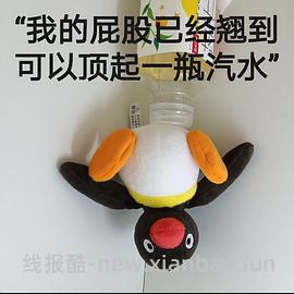 进来看楼主全家福！🐧pingu我至死都会暴烈地爱你❤️🥵🔥深夜简单车🚕刚需价约36一个断货款旗开得胜gu🏆不d别进😡 - 线报酷