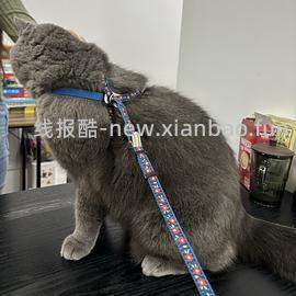 讨论/【教程】进阶版教程——如何将不到10块钱的牵引绳改造成100+的科学牵引绳 - 线报酷