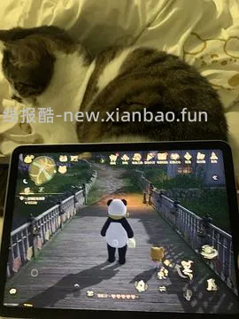 iPad air 7，256g，3196 - 线报酷
