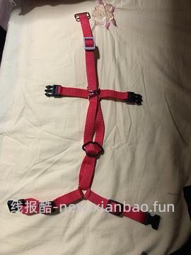 讨论/【教程】进阶版教程——如何将不到10块钱的牵引绳改造成100+的科学牵引绳 - 线报酷