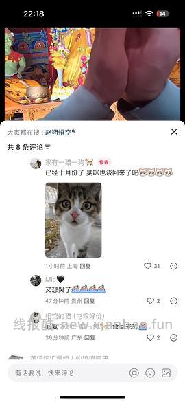 讨论/【科普】“可爱”照片背后的真相原来是这样的，关于猫咪应激需要知道的一些事 - 线报酷