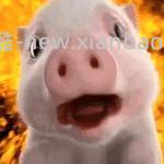 10.8吃肯德基全鸡 - 线报酷