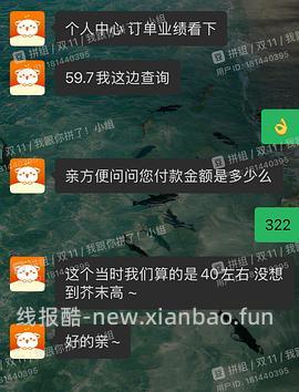 拓路者朱雀290以内 青鸟300以内 - 线报酷