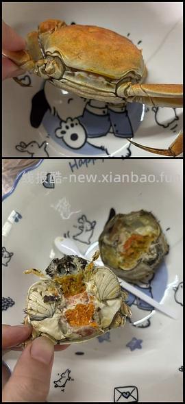 【涨价】大闸蟹新车，8只2.0～2.3两73元到手 - 线报酷