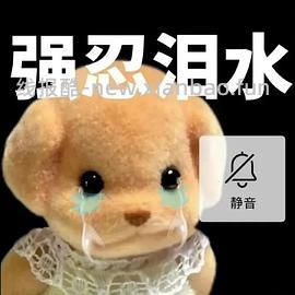 finish亮碟三合一洗碗块39.6r80粒 - 线报酷