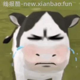 绿福摩4.5KG💰230+（比较复杂） - 线报酷