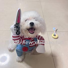 来买可拆洗的豪华🐱窝/🐶窝（车走，可以参考下思路，狗超今天有多款fan卡） - 线报酷