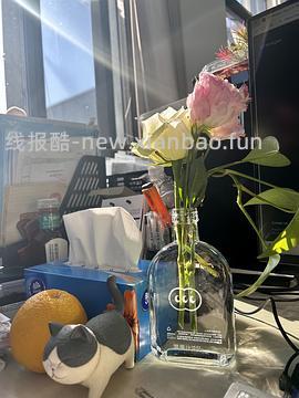 混果汁吨吨桶17r/杯 - 线报酷